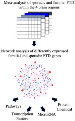 Transcriptomic and Network Meta-Analysis of Frontotemporal Dementias